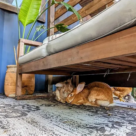 Villa Cozy Af Tiny-House Oasis à Tampa Extérieur photo