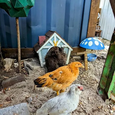 Villa Cozy Af Tiny-House Oasis à Tampa Extérieur photo
