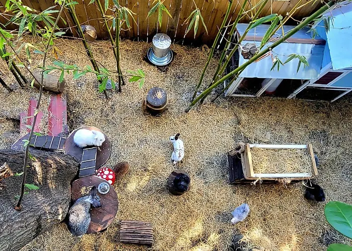 Cozy Af Tiny-House Oasis
