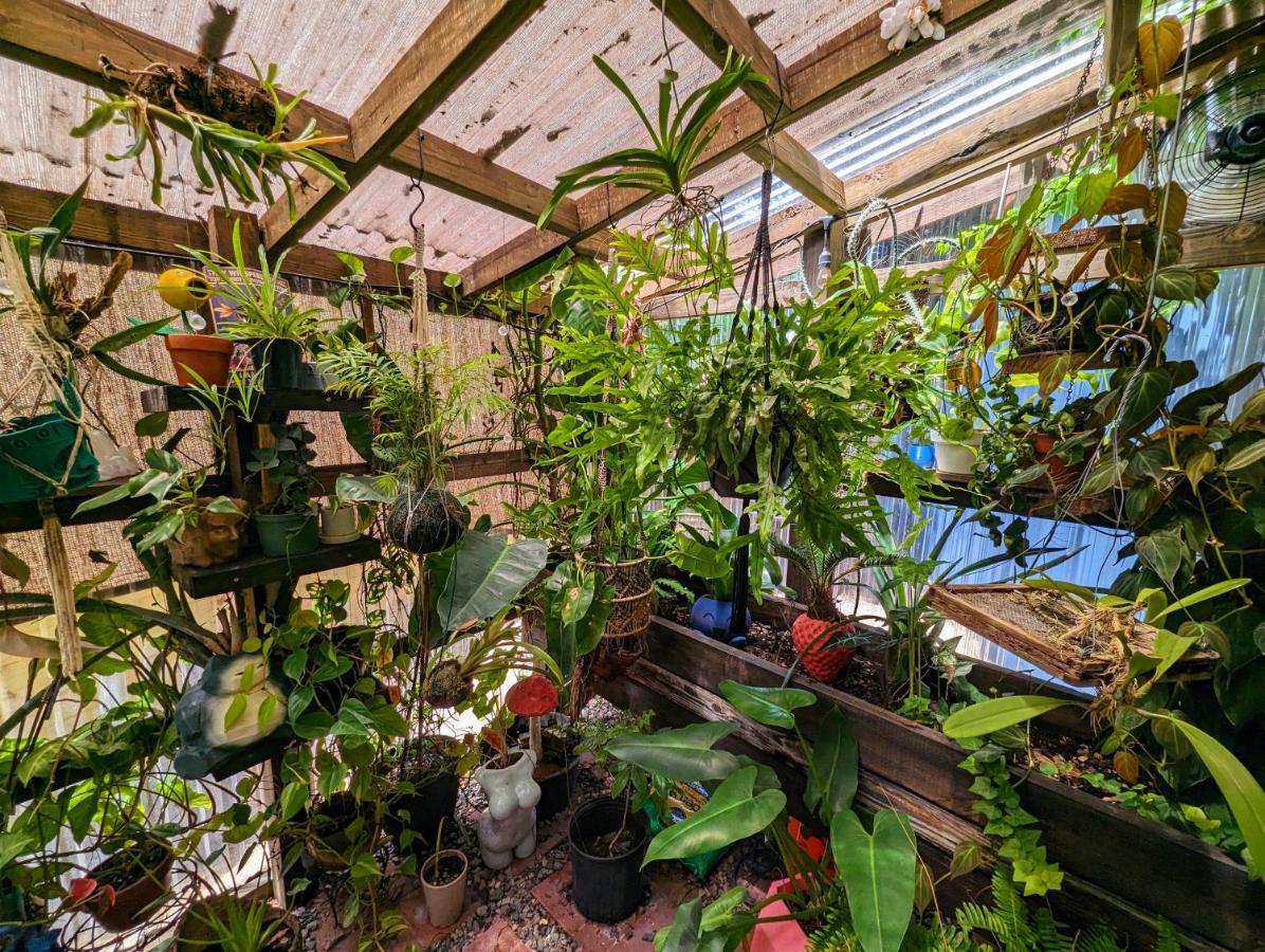 Cozy Af Tiny-house Oasis *