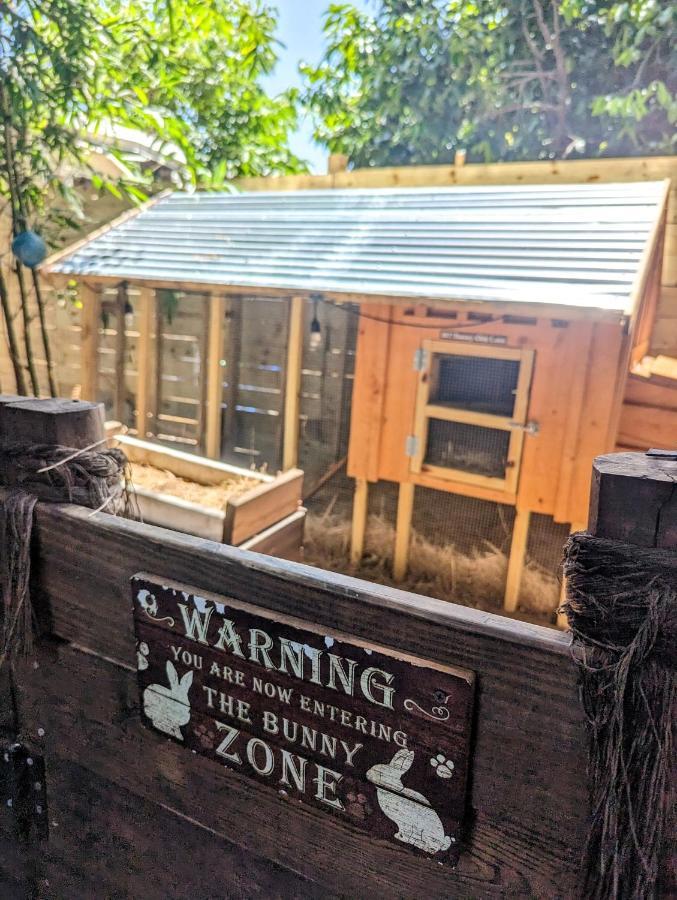 Cozy Af Tiny-house Oasis Hébergement de vacances Tampa