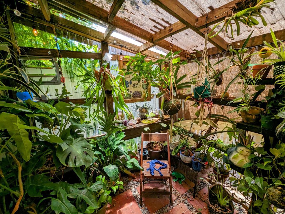 Hébergement de vacances Cozy Af Tiny-house Oasis Tampa